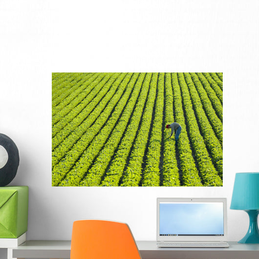 Farmer Walking through Large Wall Decal