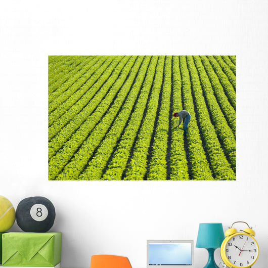 Farmer Walking through Large Wall Decal