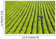 Farmer Walking through Large Wall Decal