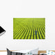 Portrait Farmer Walking through Wall Decal Design 2