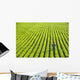 Portrait Farmer Walking through Wall Decal Design 2