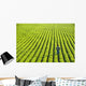 Portrait Farmer Walking through Wall Decal Design 2
