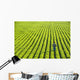 Portrait Farmer Walking through Wall Decal Design 2