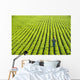 Portrait Farmer Walking through Wall Decal Design 2