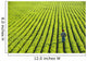 Portrait Farmer Walking through Wall Decal Design 2