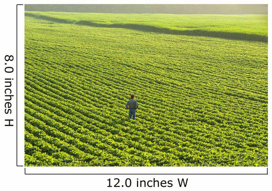 Portrait Farmer Walking through Wall Decal Design 1