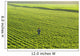 Portrait Farmer Walking through Wall Decal Design 1
