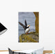 Horned Puffin Standing Lichen-covered Wall Decal