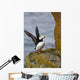 Horned Puffin Standing Lichen-covered Wall Decal