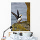 Horned Puffin Standing Lichen-covered Wall Decal