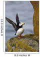 Horned Puffin Standing Lichen-covered Wall Decal
