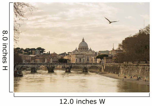 St Peter's Basilica and Wall Decal