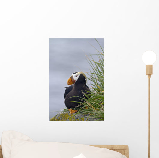 Tufted Puffin Sitting Boulder Wall Decal