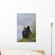 Tufted Puffin Sitting Boulder Wall Decal