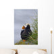 Tufted Puffin Sitting Boulder Wall Decal