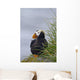 Tufted Puffin Sitting Boulder Wall Decal