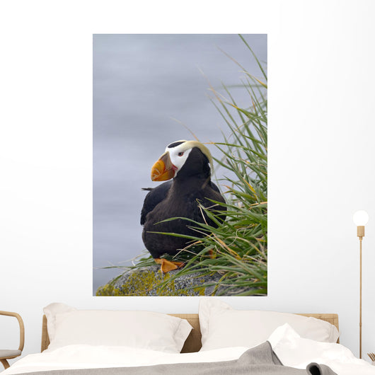 Tufted Puffin Sitting Boulder Wall Decal