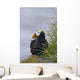 Tufted Puffin Sitting Boulder Wall Decal