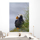 Tufted Puffin Sitting Boulder Wall Decal