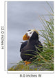 Tufted Puffin Sitting Boulder Wall Decal