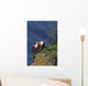 Pair Tufted Puffins Preening Wall Decal