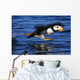 Horned Puffin Taking off Wall Decal
