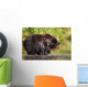 Coastal Brown Bear and Wall Decal