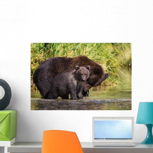 Coastal Brown Bear and Wall Decal