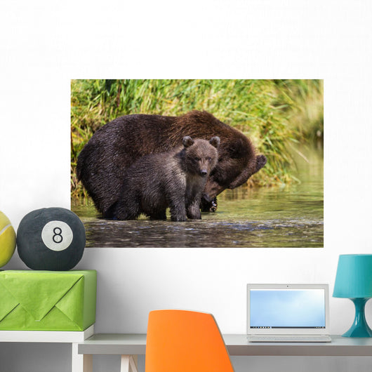 Coastal Brown Bear and Wall Decal