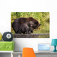Coastal Brown Bear and Wall Decal