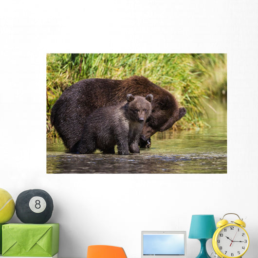 Coastal Brown Bear and Wall Decal