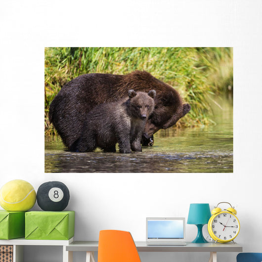 Coastal Brown Bear and Wall Decal