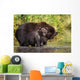Coastal Brown Bear and Wall Decal