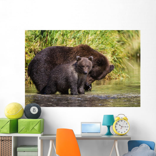 Coastal Brown Bear and Wall Decal