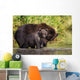 Coastal Brown Bear and Wall Decal