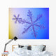 Photomicroscopic up Two Snowflake Wall Decal