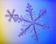 Photomicroscopic up Two Snowflake Wall Decal