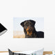 Portrait Rottweiler Dog Winter Wall Decal