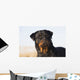 Portrait Rottweiler Dog Winter Wall Decal