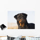 Portrait Rottweiler Dog Winter Wall Decal