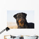 Portrait Rottweiler Dog Winter Wall Decal