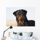 Portrait Rottweiler Dog Winter Wall Decal