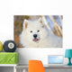 Portrait Samoyed Dog Snow Wall Decal
