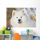 Portrait Samoyed Dog Snow Wall Decal