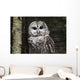 Northern Barred Owl Perched Wall Decal