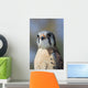 American Kestrel Breeding Plumage Wall Decal