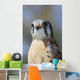 American Kestrel Breeding Plumage Wall Decal