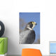 Peregrine Falcon Wall Decal Design 1