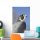 Peregrine Falcon Wall Decal Design 1