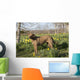Female Chesapeake Bay Retriever Wall Decal